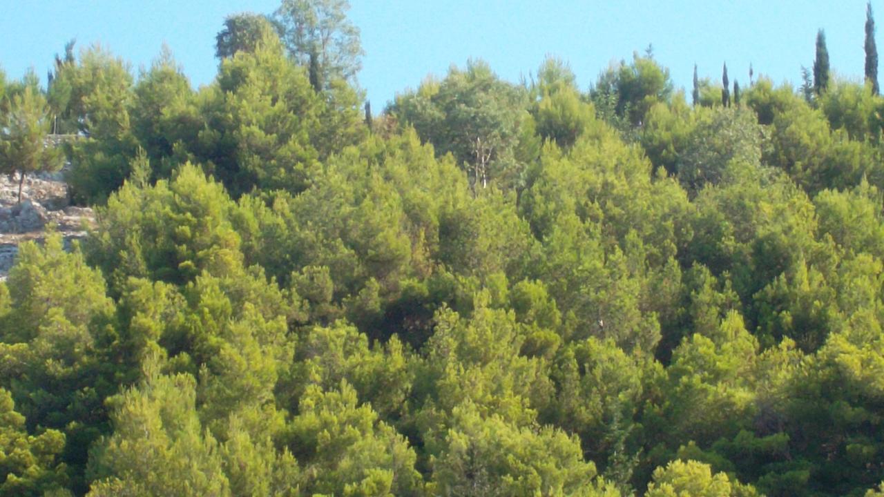 Lithahiro Stone House Βίλα Agalás Εξωτερικό φωτογραφία